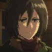 mikasa