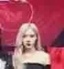 Prak rose