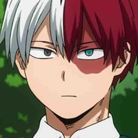 Shoto❄️todoroki 🔥