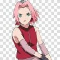 sakura