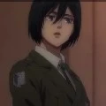 mikasa