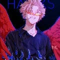 Hawks