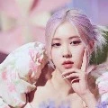 Park Chae young