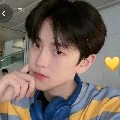 คาชิ