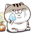 faty caty