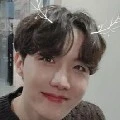 hobi
