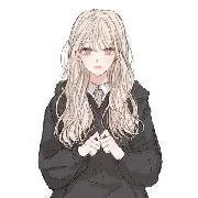 Y\N