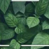 UNKNOWN-3