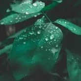 UNKNOWN-2