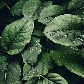 UNKNOWN-4
