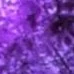 unknown Person 3