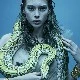sprent 🐍🦅