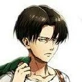 Levi