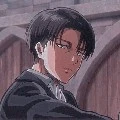 Levi