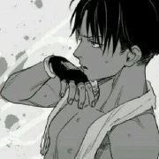 Levi