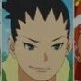 shikadai