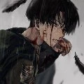Levi
