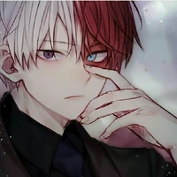 Totoroki Shoto
