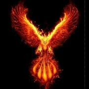 Pheonix