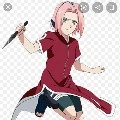 sakura