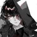 shadow/fl assistant