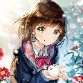FlowerBlooms