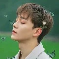 Lee Chen
