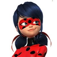 Ladybug