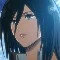 mikasa