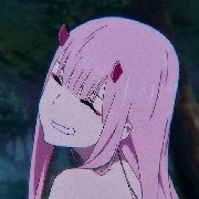 y/n