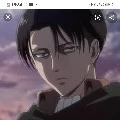 levi