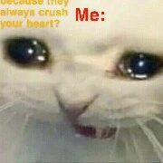 💛💛BESTIEEE💛💛