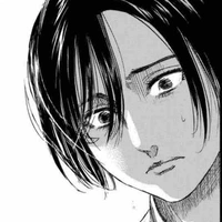 Mikasa