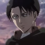 Levi
