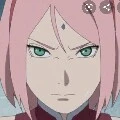 sakura