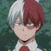 Todoroki