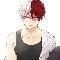 SHOTO Todoroki
