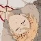 Finnian