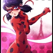 Ladybug