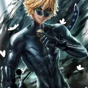 Chat noir