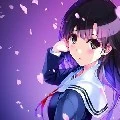 Hineko