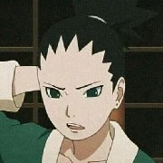 Shikadai
