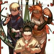 Tim 10 Shikadai