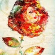 Mom the rose
