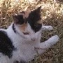 la autora
