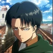 Levi