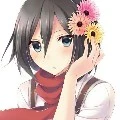 mikasa