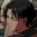 Levi ( Kakak Mikasa )