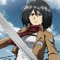 Mikasa ( Adik Levi )