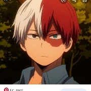 Shoto Todoroki